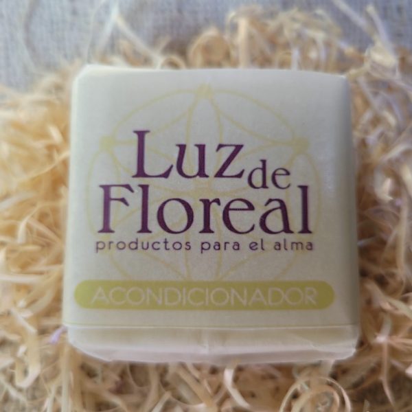 Acondicionador Sólido Luz de Floreal