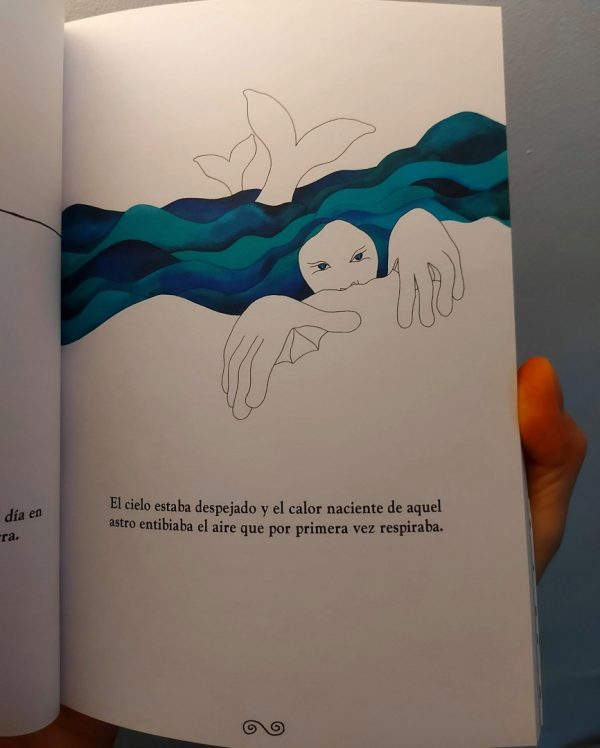 Anfibies - Libro infantil de Violeta del Río - Imagen 6