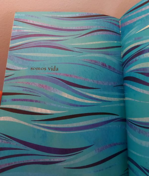 Anfibies - Libro infantil de Violeta del Río - Imagen 2